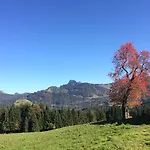 Montreux Holiday Home Ferienhaus