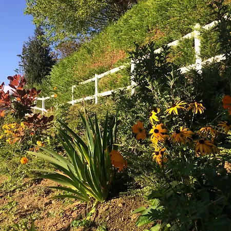 Montreux Holiday Home