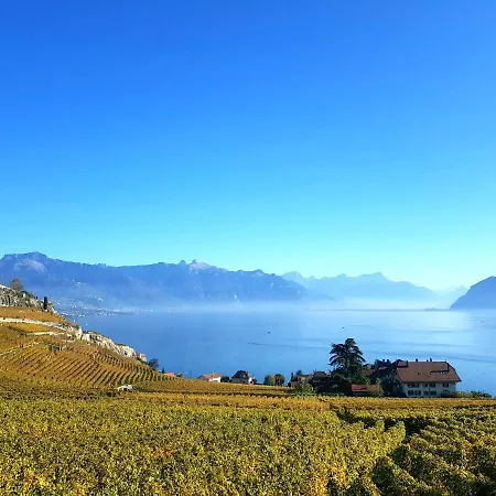 Montreux Holiday Home Dom wakacyjny