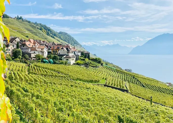 Montreux Holiday Home Montreux