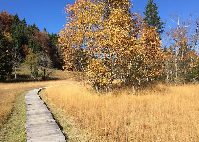 度假居 蒙特勒旅馆