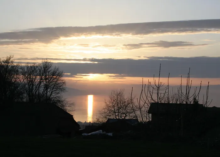 Montreux Holiday Home