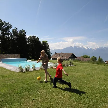Montreux Holiday Home * 몽트뢰