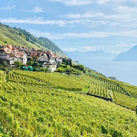 Montreux Holiday Home 몽트뢰