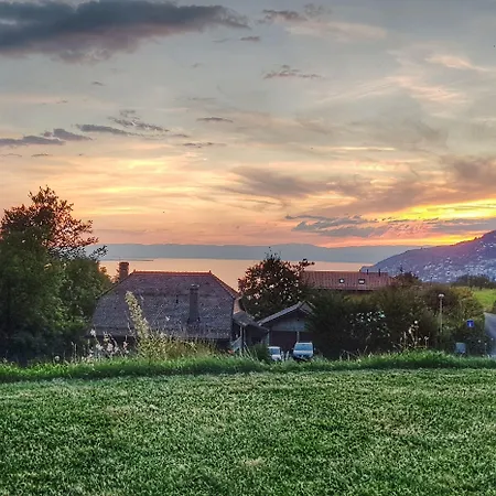 Montreux Holiday Home 펜션 몽트뢰