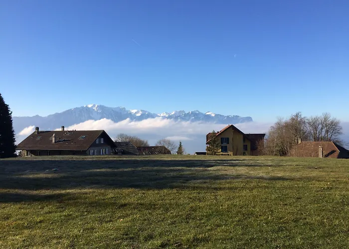 Ferienhaus Montreux Holiday Home Montreux