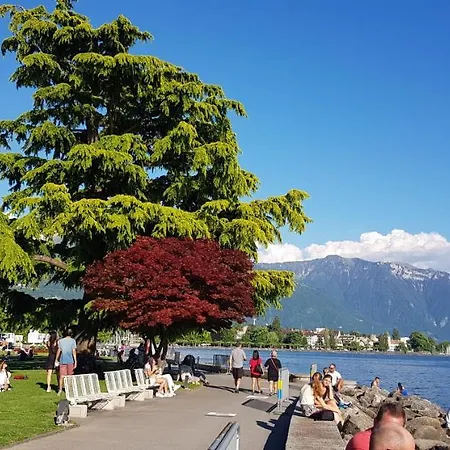 Montreux Holiday Home * モントルー