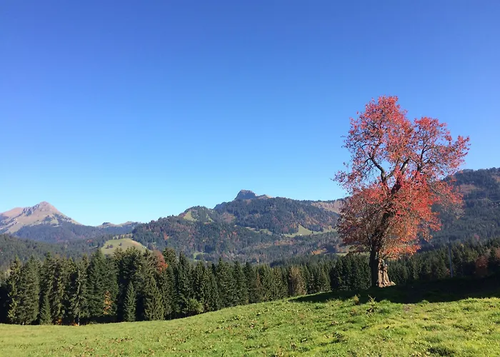 Montreux Holiday Home Dom wakacyjny