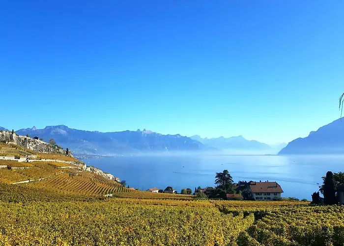 Montreux Holiday Home Dom wakacyjny